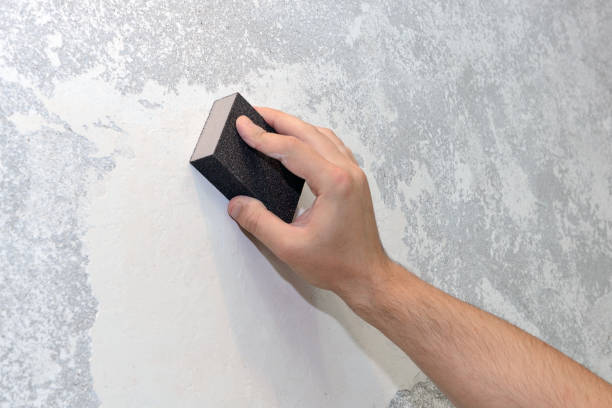 Best Crawl Space Mold Remediation  in Rockwood, MI