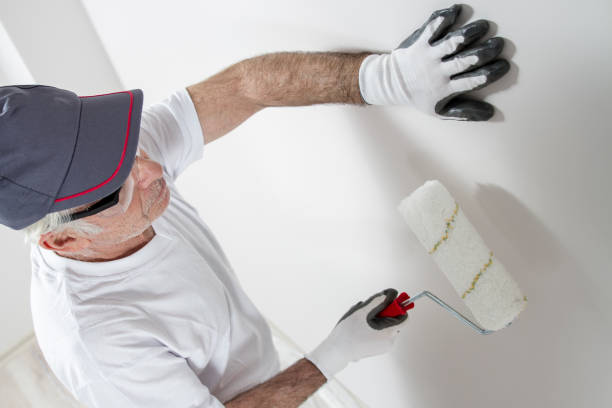 Best Environmental Consulting for Mold Prevention  in Rockwood, MI