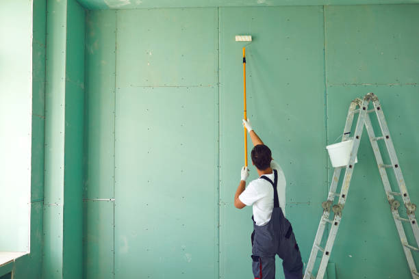 Best Emergency Mold Remediation  in Rockwood, MI