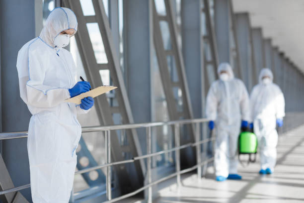 Best Mold-Related Health Consultation  in Rockwood, MI
