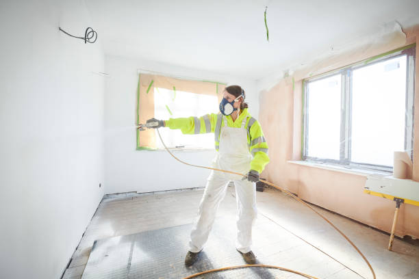 Rockwood, MI Mold Removal Company