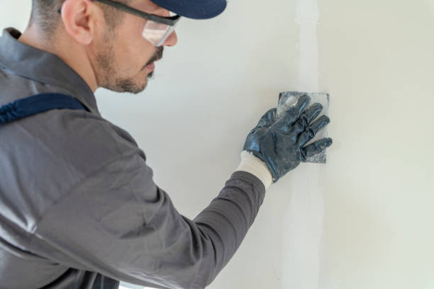 Best Asbestos and Lead Testing During Mold Inspection  in Rockwood, MI