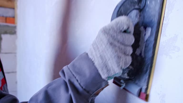 Best Black Mold Removal  in Rockwood, MI