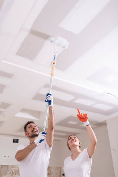 Best Mold Remediation for Healthcare Facilities  in Rockwood, MI