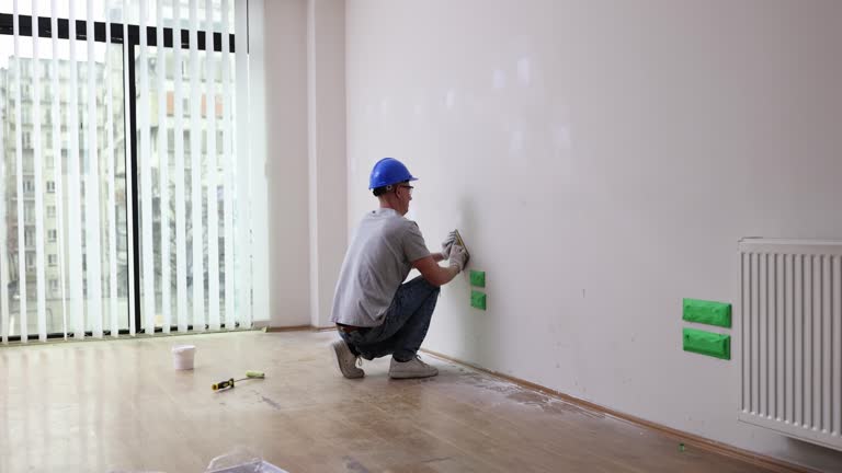 Best Black Mold Removal  in Rockwood, MI