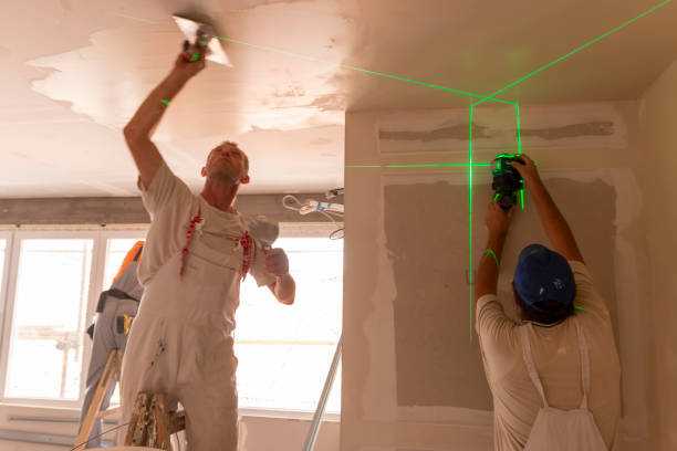 Best Forensic Mold Investigation  in Rockwood, MI