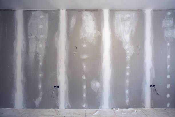Best Mold Damage Restoration  in Rockwood, MI